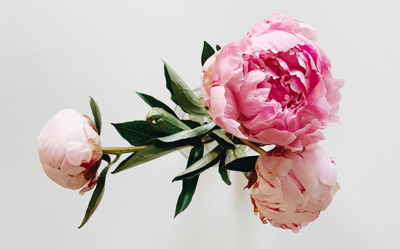 fallon-michael-DTpKjgHpHj4-unsplash