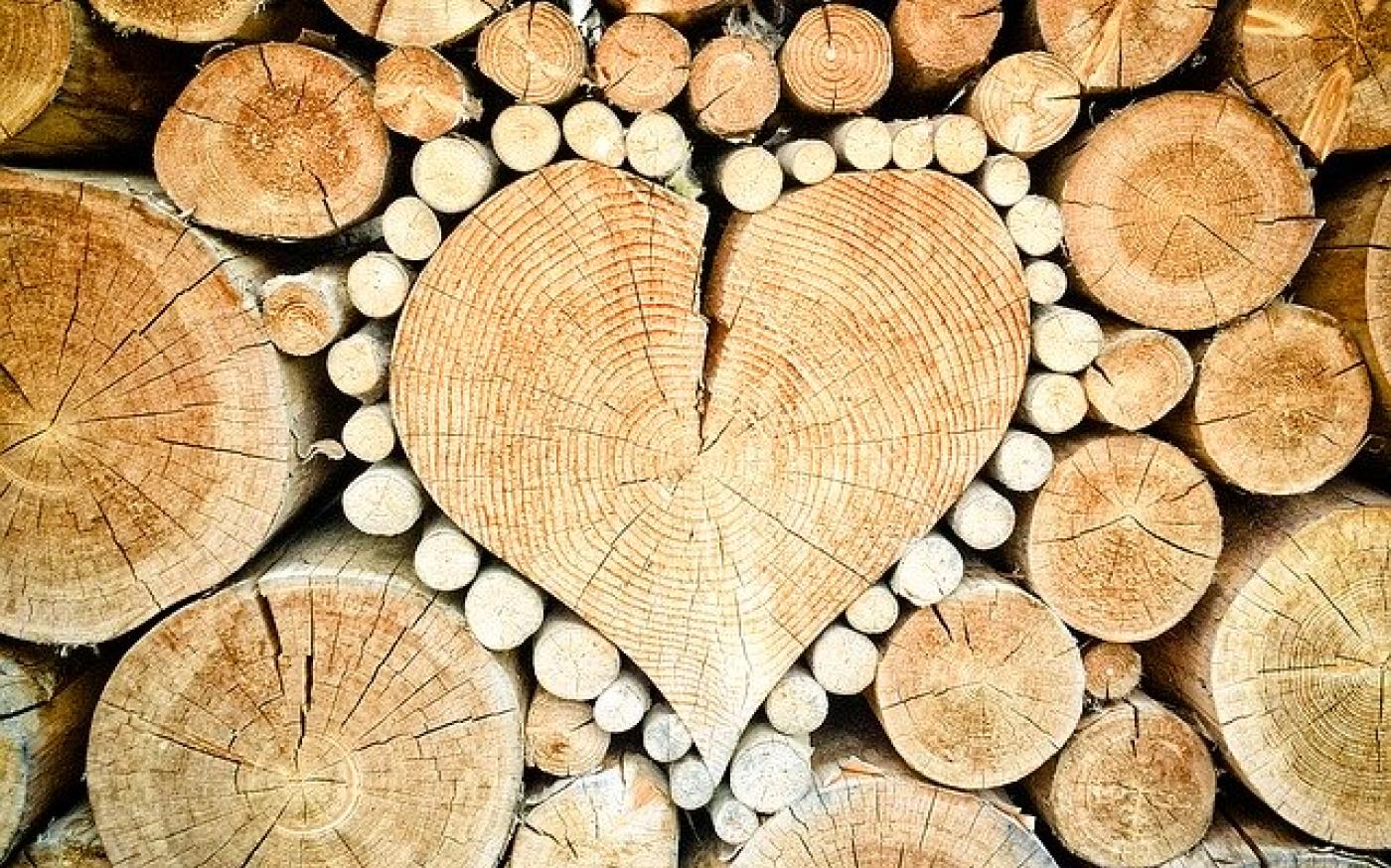 heart-1288420_640