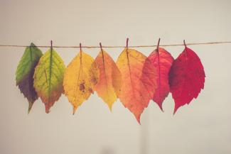 chris-lawton-5IHz5WhosQE-unsplash chris-lawton-5IHz5WhosQE-unsplash