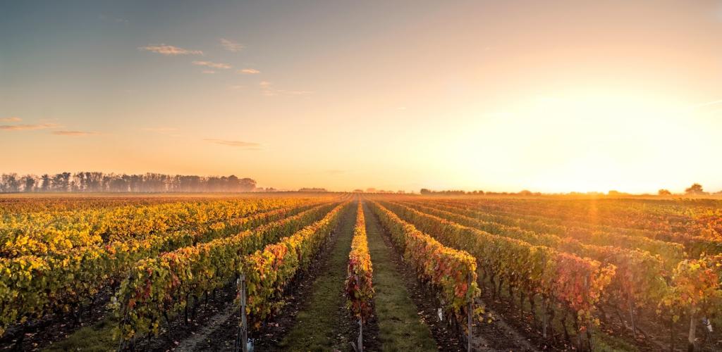 John Zeltmann S.F. Ehrlich Associates, Inc.